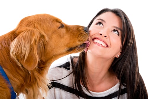 Cute dog kissing a woman - isolated over a white background Cute dog kissing a woman - isolated over a white background